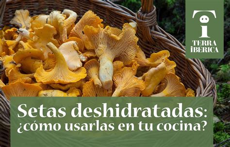 Encuentra este pin y muchos más en deshidratados, de mextli peralta. Setas deshidratadas: cómo usarlas en tu cocina