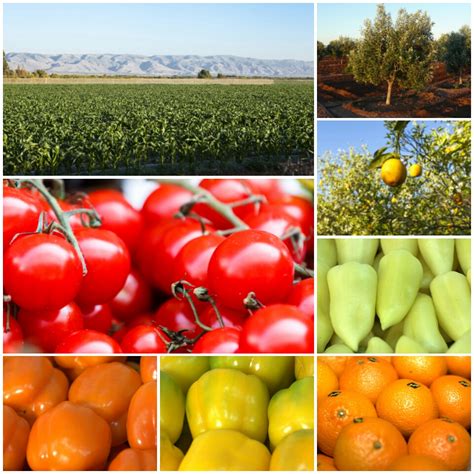 This free online jpg to pdf converter allows to combine multiple images into a single pdf document. Agriculture | Région Souss Massa