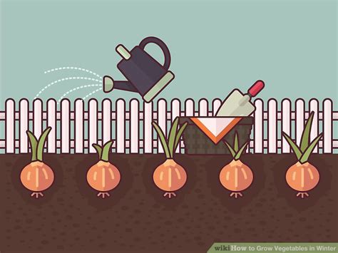 A great alternative is growing some of your favorite vegetables indoors during the winter months. How to Grow Vegetables in Winter: 10 Steps (with Pictures)