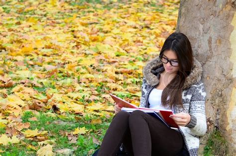 Beautiful Brunette Girl Reading Book In Nature Stock