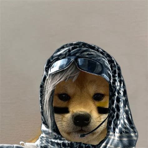 A Dog With Sunglasses On Its Head Wearing A Scarf And Hood Over Its Face