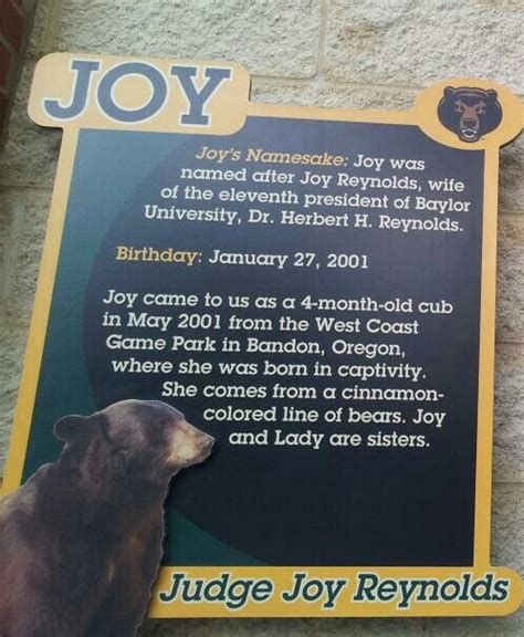 Kutztown university of pennsylvania, mascot: 1000+ images about Joy, Lady and other Bears on Pinterest | Swimming, Bear print and The bear