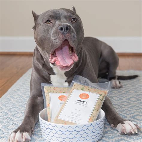 We did not find results for: Dog food for Pitbulls | Dogs, Dog food recipes, Animals
