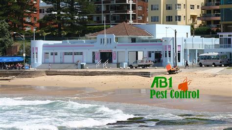 Average rating of pest control experts in sutherland shire based on 1662 reviews of 38 businesses. Sutherland Shire Pest Control - 0481 194 619 - AB1 Pest ...