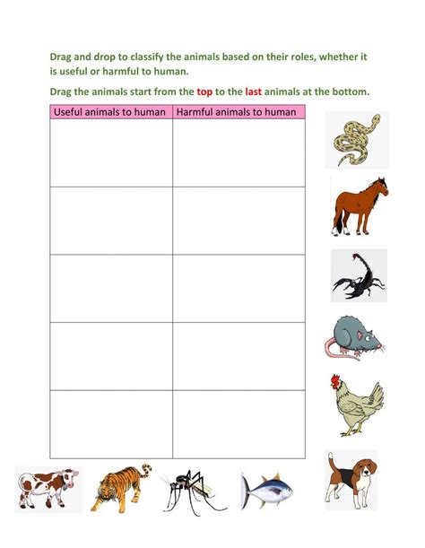 Classify Useful And Harmful Animals Worksheet Live Worksheets