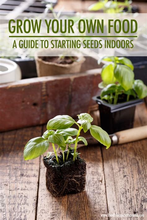 Are you wondering what plants you can grow hydroponically indoors if you don't have much space? Grow Your Own Food: Starting Seeds Indoors | Food Bloggers ...