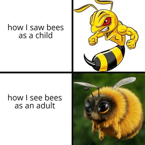 I Dont Know If Memes Are Welcome Here But Here Is A Bee Meme For You