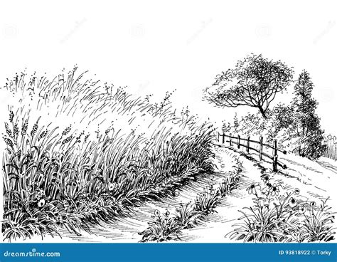 Details 67+ field sketch super hot - seven.edu.vn