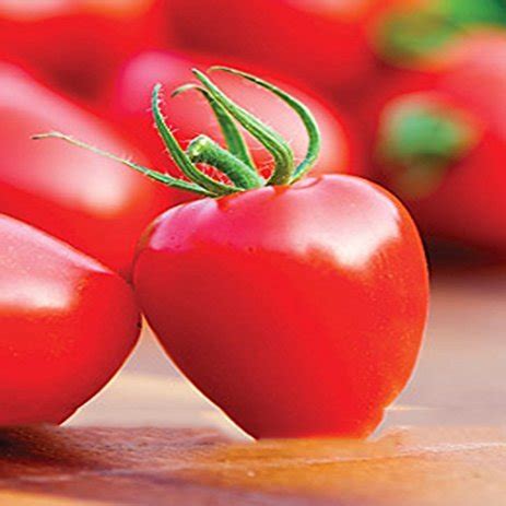 Maybe you would like to learn more about one of these? Heart-Shaped Tomato berry Garden Tomato Hybrid 100 Seeds ...