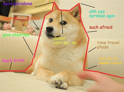 Inside the rise (and continued a shiba inu, more commonly known as a shibe, the dog made famous in the doge meme that was. Dogecoin: Wow. Such Good Coin. Many Wants. | CoinTrader.org