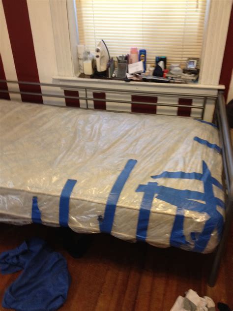 Bed Bug Mattress Covers A Right Way And A Wrong Way Envirocare Pest