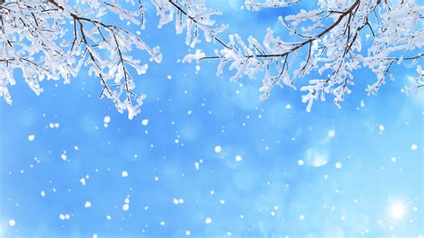 Snow Fall Wallpapers Wallpaper Cave