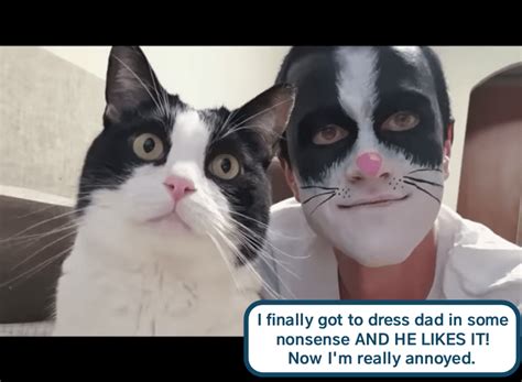 Revenge Fail Funny Cat Memes Silly Cats Cats Kittens