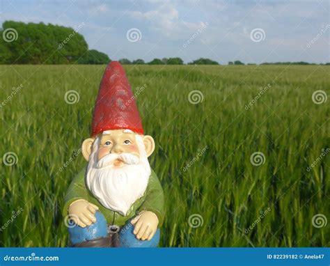 Funny Garden Gnome With Beard And A Red Hat Stock Photo Image Of