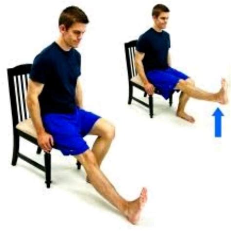 Seated Single Leg Raise By Daniel Arixi Exercise How To Skimble
