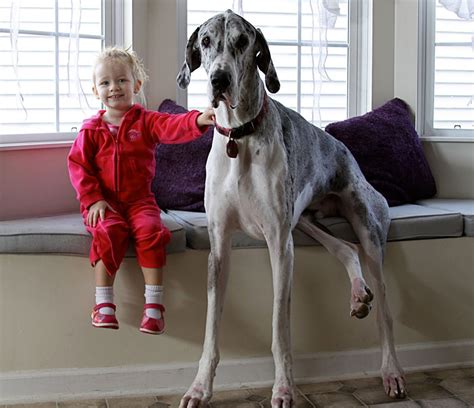 These 22 Little Kids Take Very Beautiful Pictures With Their Big Dogs