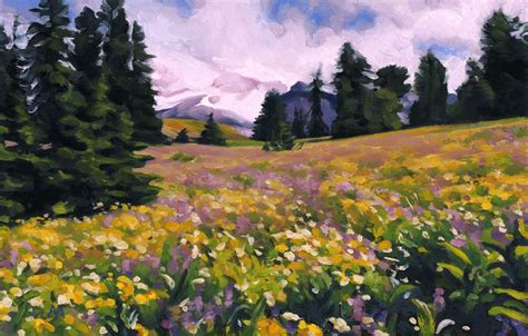 Anderson Studiowork An Artblog Wildflower Meadow Mt Hood