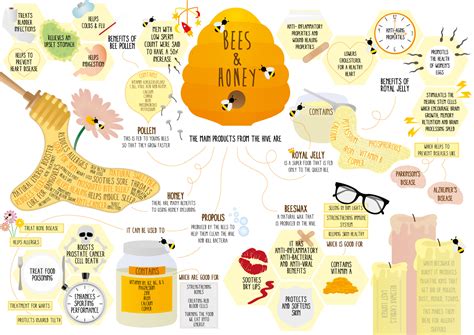 Facts About Honey And Honey Bees Infographics