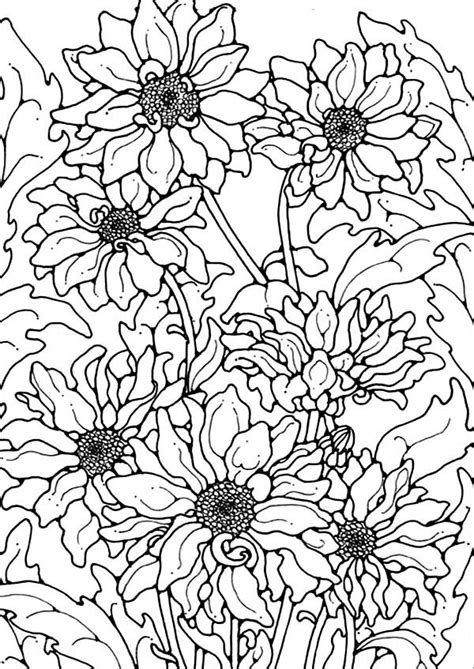 Download Chrysanthemum, : Chrysanthemum for the Love One Coloring ...