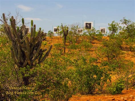 Parque Estadual De Canudos