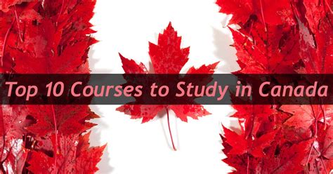 View all our sports administration vacancies now with new jobs added daily! Top Courses to Study in Canada for International Students