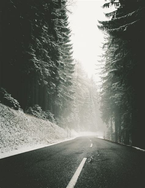Forest Road In Winter Photo By Daniel Kainz Lonewolf On Unsplash