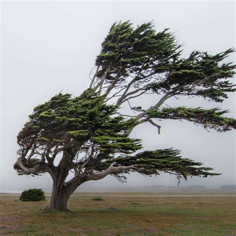 Windy is a czech company providing interactive weather forecasting services worldwide. It's Too Windy