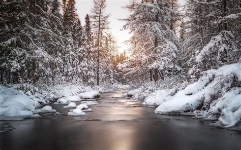 Download Wallpapers Winter River Forest Snow Sunset Winter