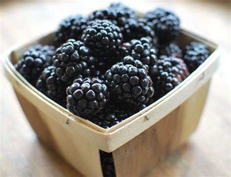 Fresh Blackberries (Ready-Picked) - Smith Berry Barn