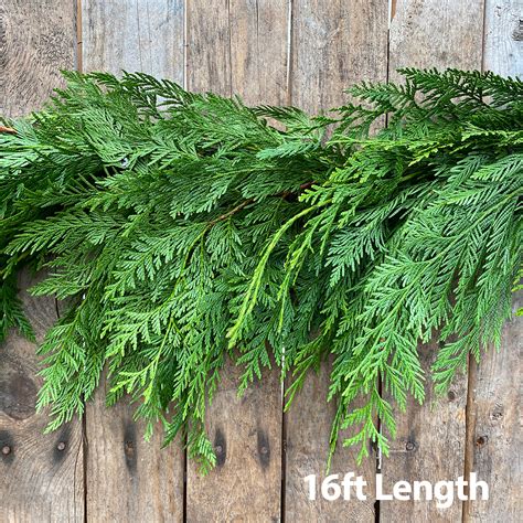 Christmas Greens Cedar Garland 16ft Fresh Greens Garlands