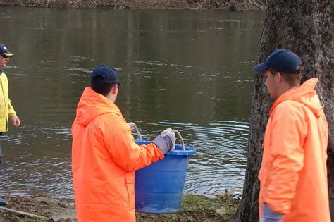 Trout Stocking | Stockings, West virginia mountaineer, Challenges