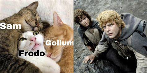 The Lord Of The Rings Memes That Perfectly Sum Up Sam Frodo S Friendship