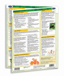 Natural Home Remedies Guide Quick Reference Chart 4 Page Laminated