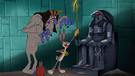 Coyote Vs Acme Gives Wile E Coyote His Own Looney Tunes Movie