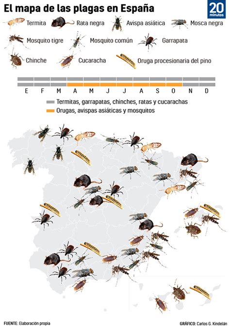 Plagas Cada Vez Menos Estacionales As Se Distribuyen Por Espa A Ratas