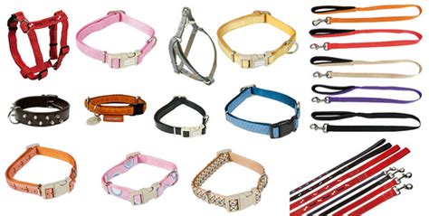 Pasear a tu perro con una correa no es solo una cuestión de convivencia, sino también un asunto de seguridad para tu propia mascota. Tienda de Mascotas: Correas para perros