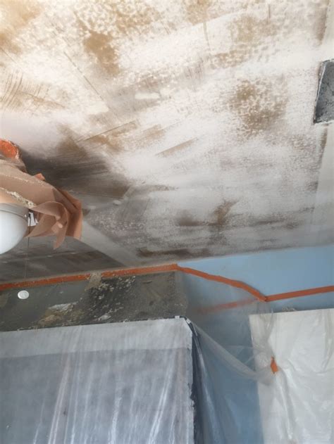 Paint removers typically produce fumes that can cause dizziness. Acoustic Ceiling Removal - Your Palette In Paint : Your ...