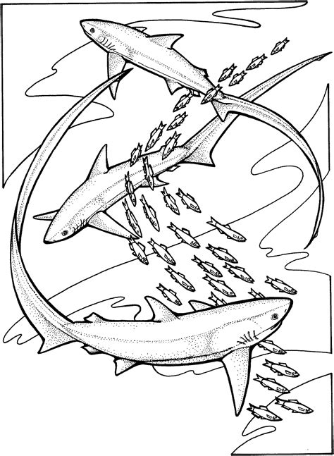 Coloring Pages: Shark Coloring Pages Free and Printable