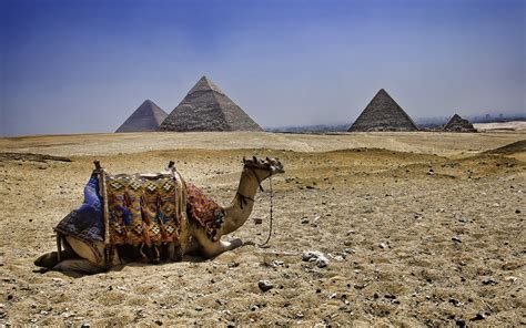 Fondos De Pantalla Paisaje Desierto Pirámide Egipto Monumento Camello Ecosistema Cauce