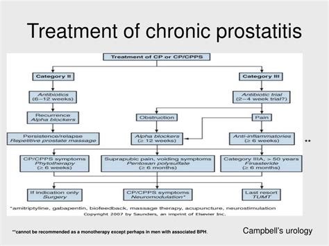 Diagnosis and treatment of 409 patients with prostatitis syndromes. PPT - PROSTATITIS PowerPoint Presentation, free download ...