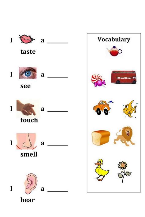activities for the five senses for preschool sheet