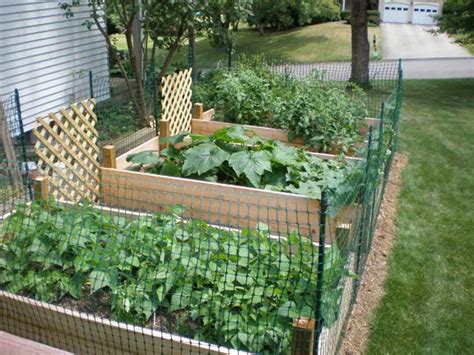 Check spelling or type a new query. raised bed vegetable garden fence - Google Search | Small ...