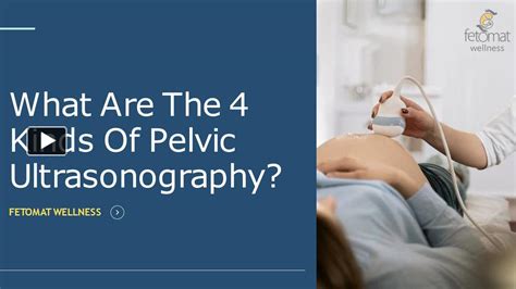Ppt What Are The Kinds Of Pelvic Ultrasonography Powerpoint Presentation Free To Download