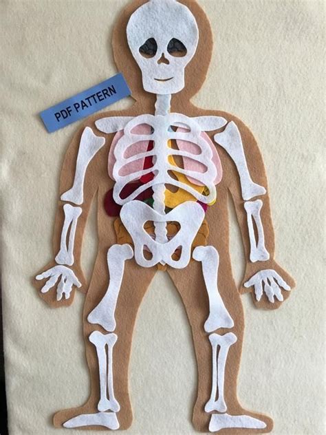 My Body Educational Felt Pattern, Bones and Organs, Montessori Inspired