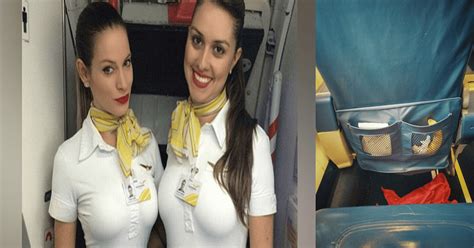 some disgusting secrets flight attendants hide from you all the time genmice