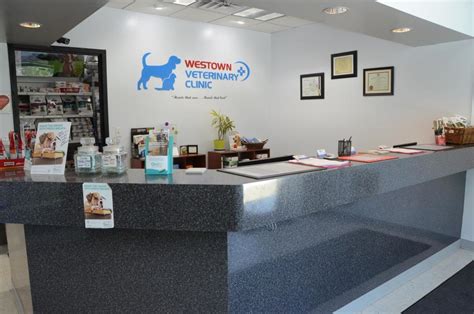 Carolina value pet care is not a traditional veterinary clinic. Clinic Tour | Westown Veterinary Clinic