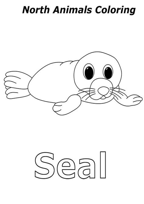 Baby Seal In Arctic Animals Coloring Page Kids Play Color