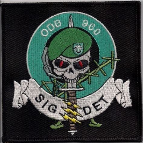 19th Special Forces Group C Co 2d Bn Signal Detachment Sig Det Patch
