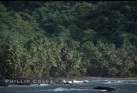 Shoreline Cocos Island Costa Rica 05803
