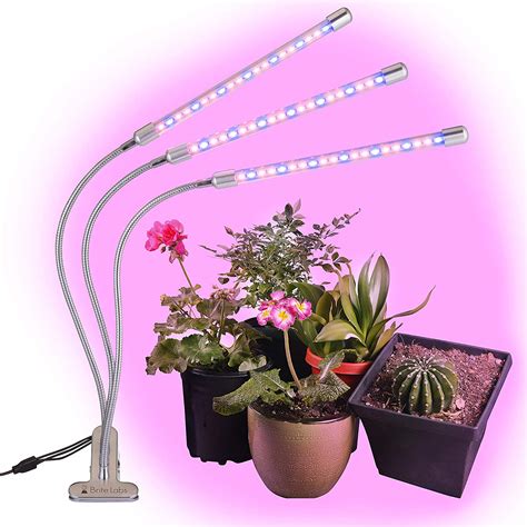 Want to know more about regular. How do LED grow lights work? | South Africa Today